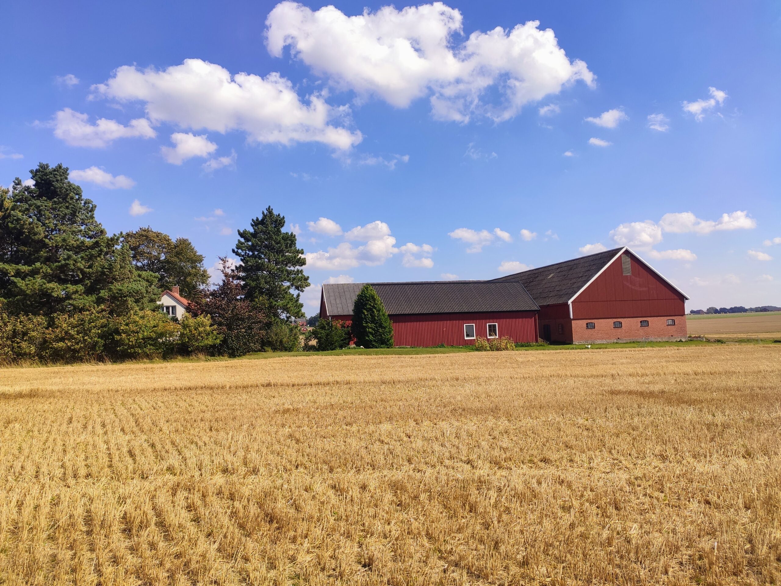 barn