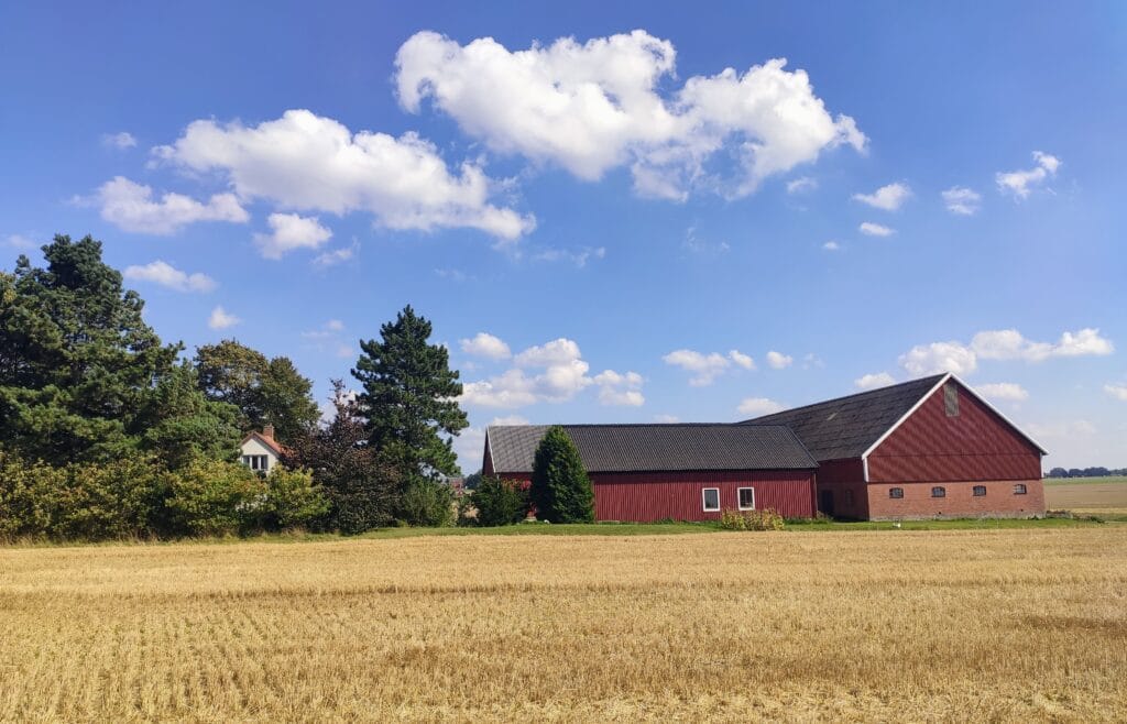 The Farm