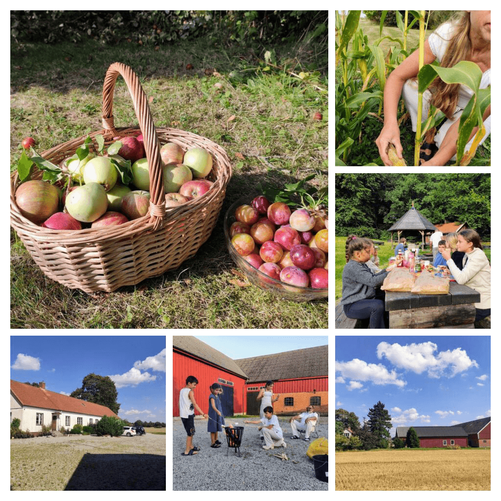 farm